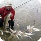 Рыбалка на реке Дон